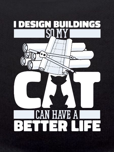 Architect Architecture Cat