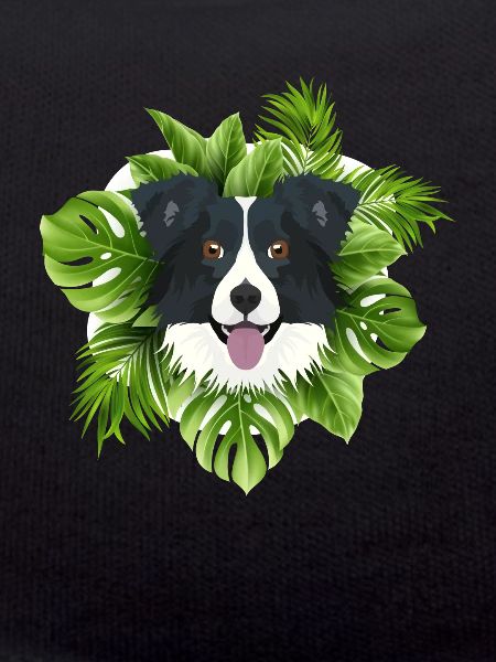Tropical Border Collie