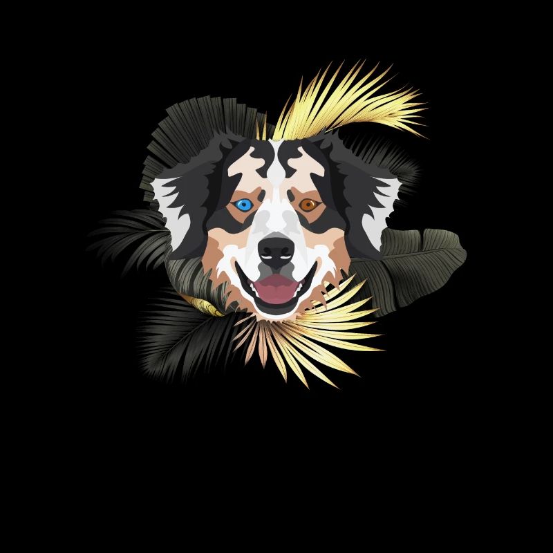 Golden Dog Australian Shepherd