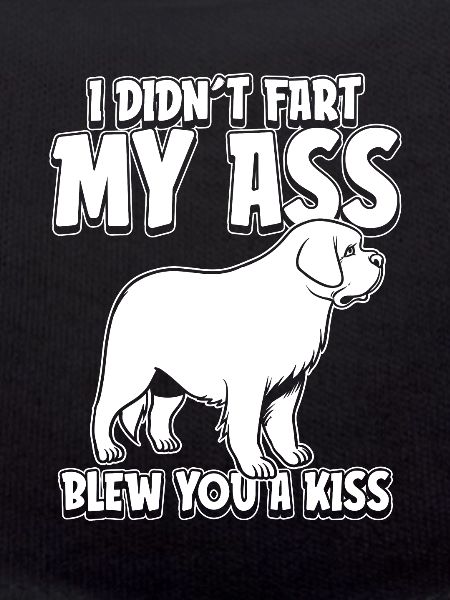 St. Bernard Funny