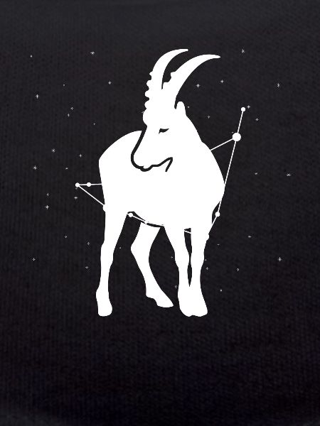 Sternzeichen Steinbock Symbol