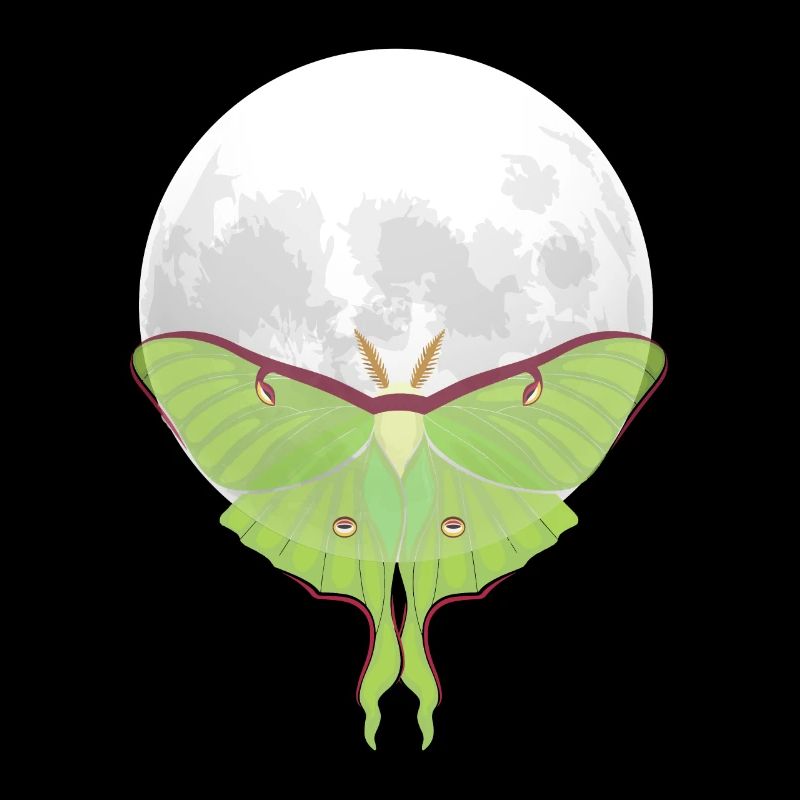 Actias luna - Papillon de nuit devant la Lune