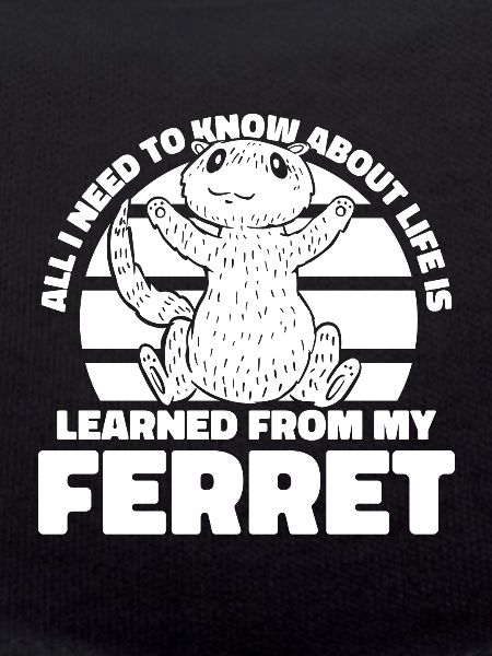 Ferret polecat