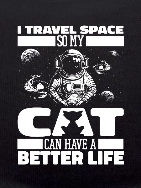 Astronaut, astronaut, cosmonaut, cat