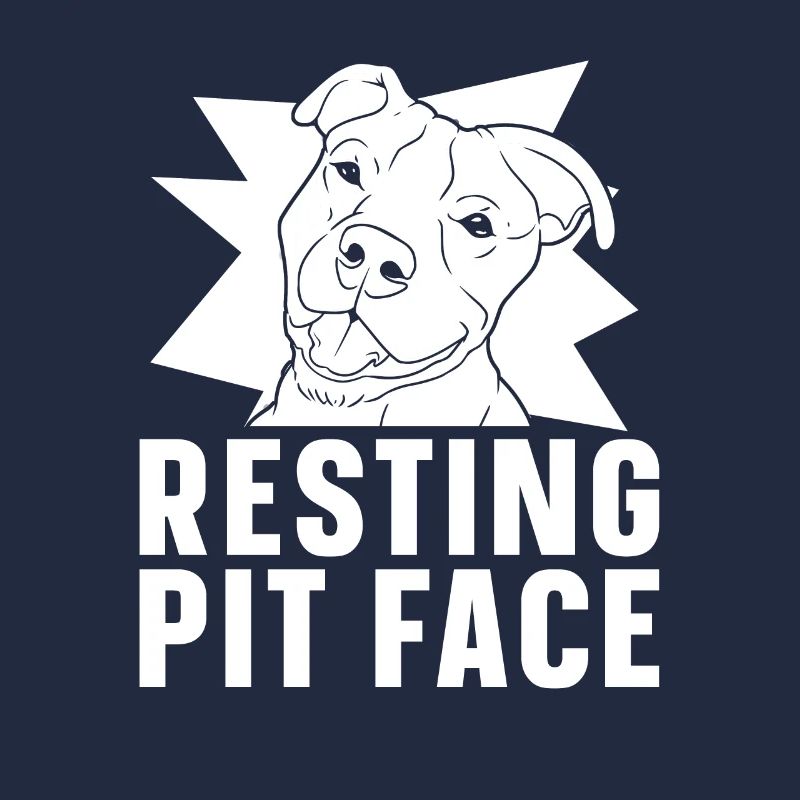 Pitbull Pitbull Interdiction Pitbull Repos Pit Face