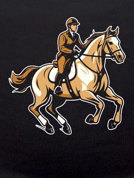 Pferd Reitsport