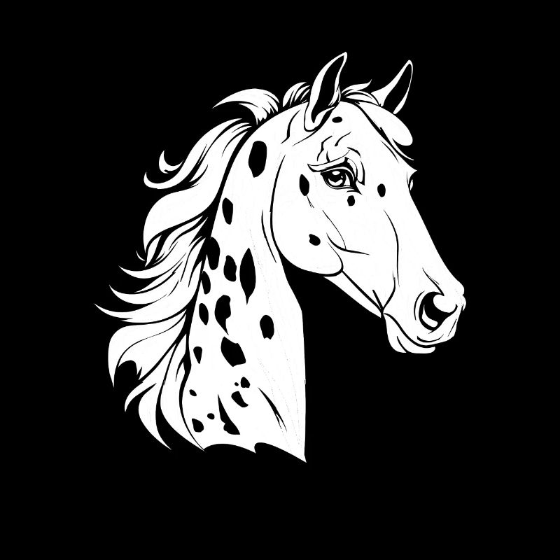 Sports équestres équestres à cheval