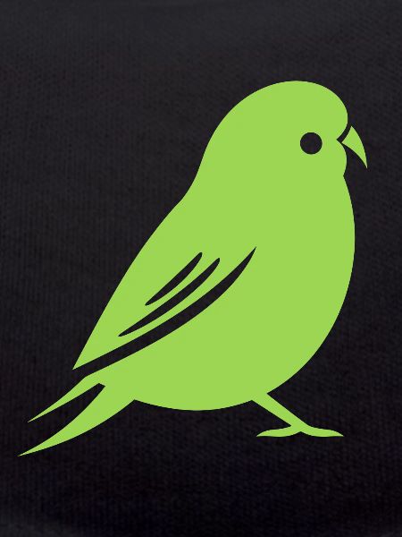 Cute little parakeet