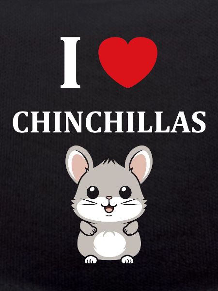 Petit chinchilla mignon