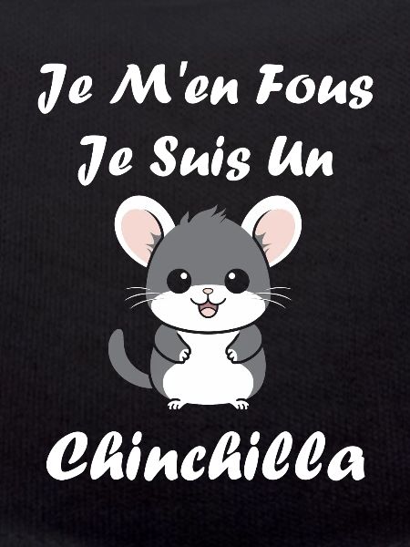 Petit chinchilla mignon