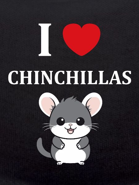Petit chinchilla mignon