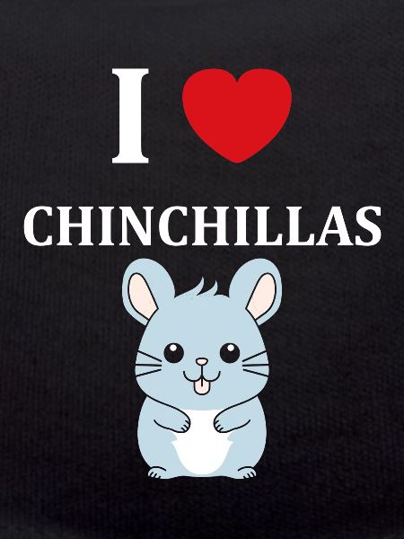 Petit chinchilla mignon