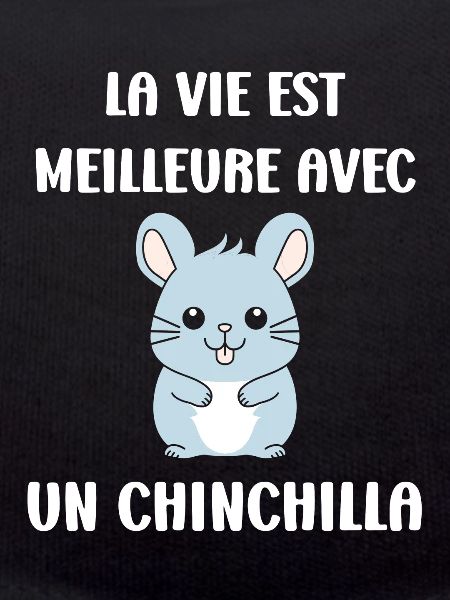 Petit chinchilla mignon