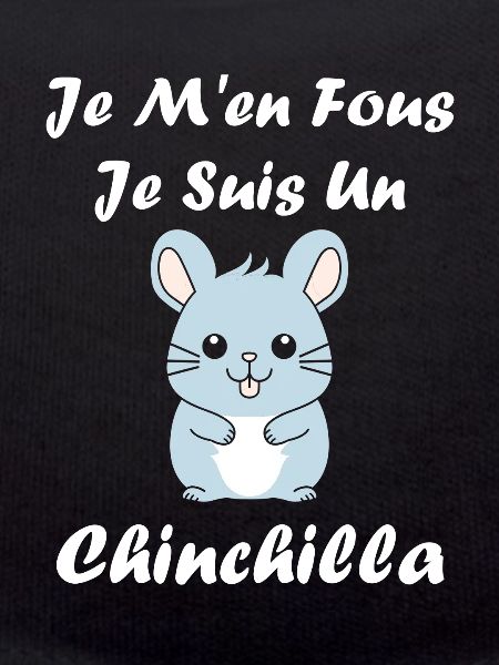 Petit chinchilla mignon