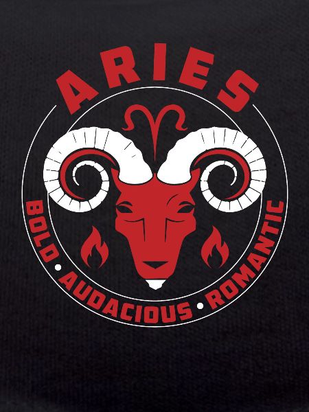 Aries Zodiac Signs Features