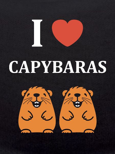 Humour Capybara