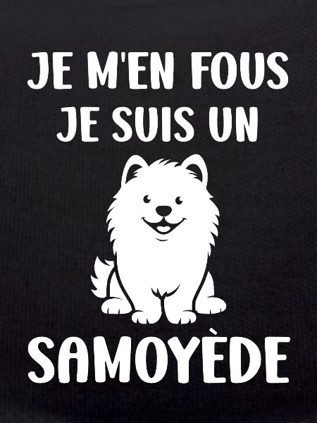 Humour Chien Samoyède