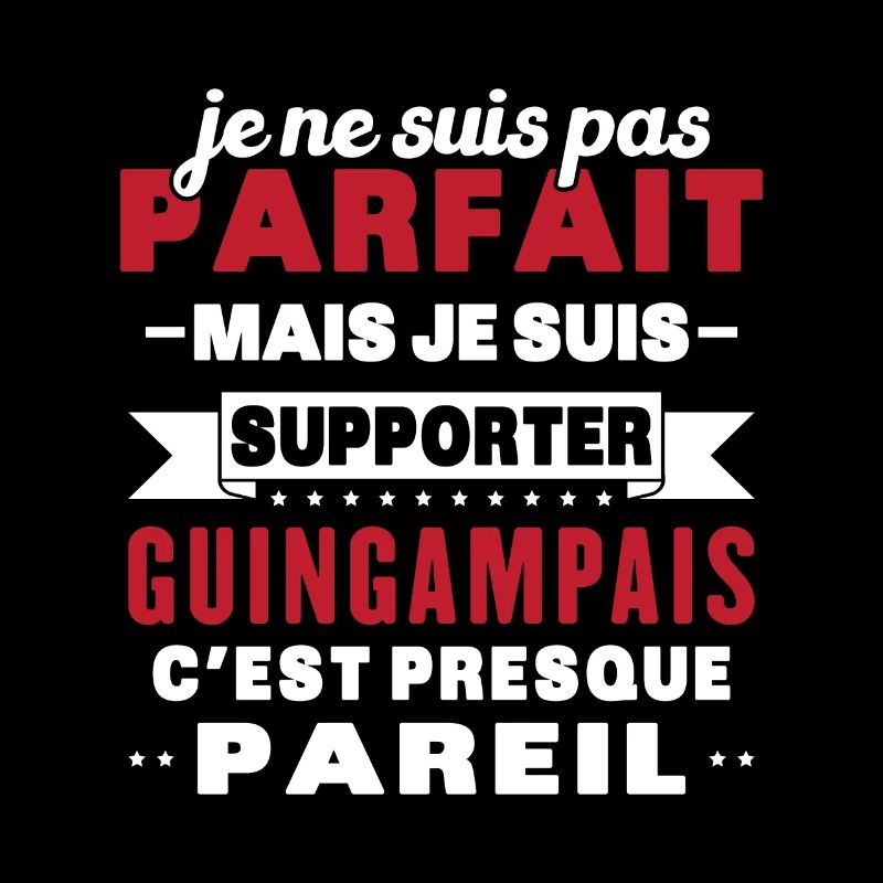 Nicht perfekt, aber ich bin ein Guingamp-Fan