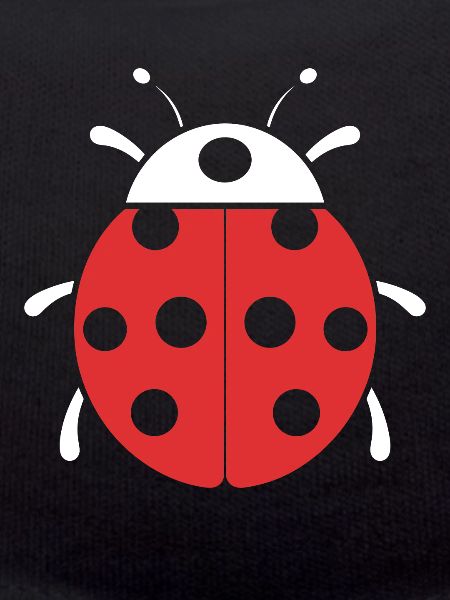 Petite coccinelle