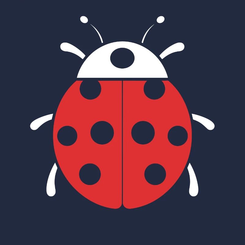 Little Ladybug