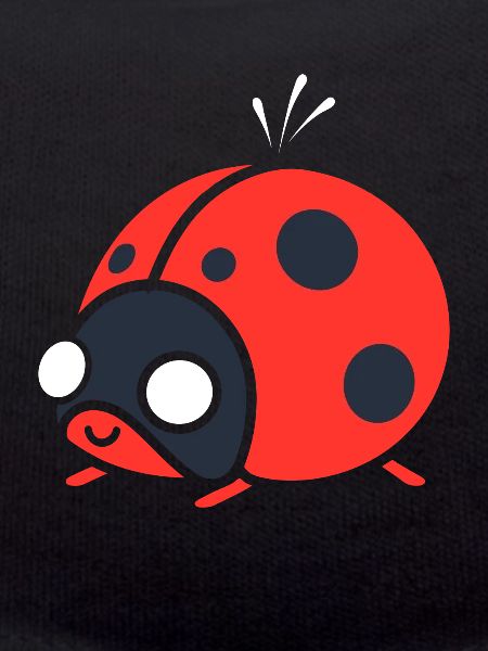 Little Ladybug