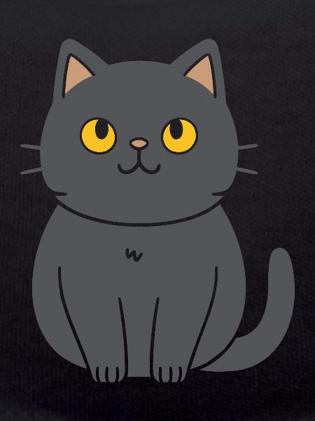 Chartreux petit chat