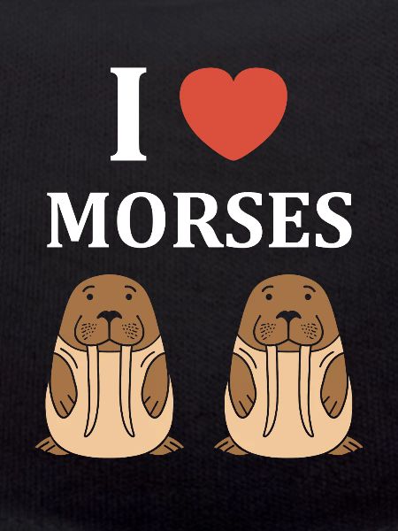 Animal humour Morse