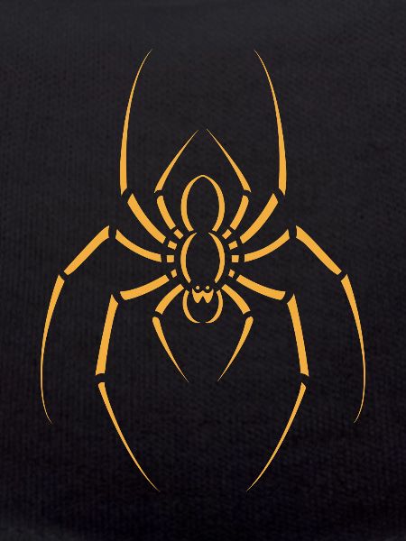 spider