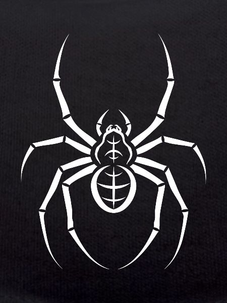 spider
