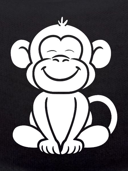 Baboon monkey