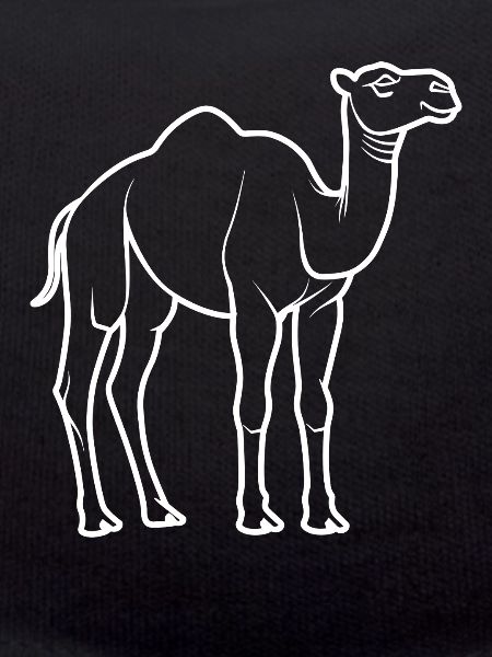 camel