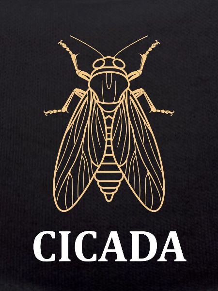 cigale