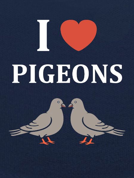 pigeon