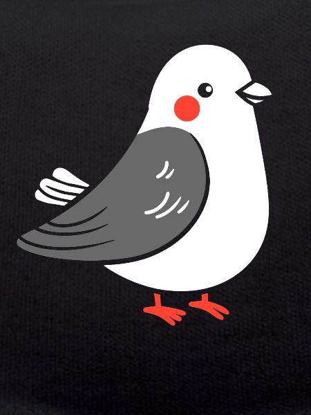 pigeon