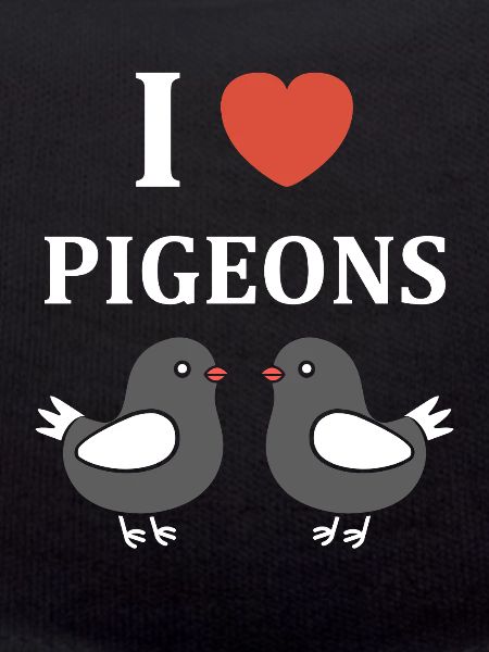 pigeon