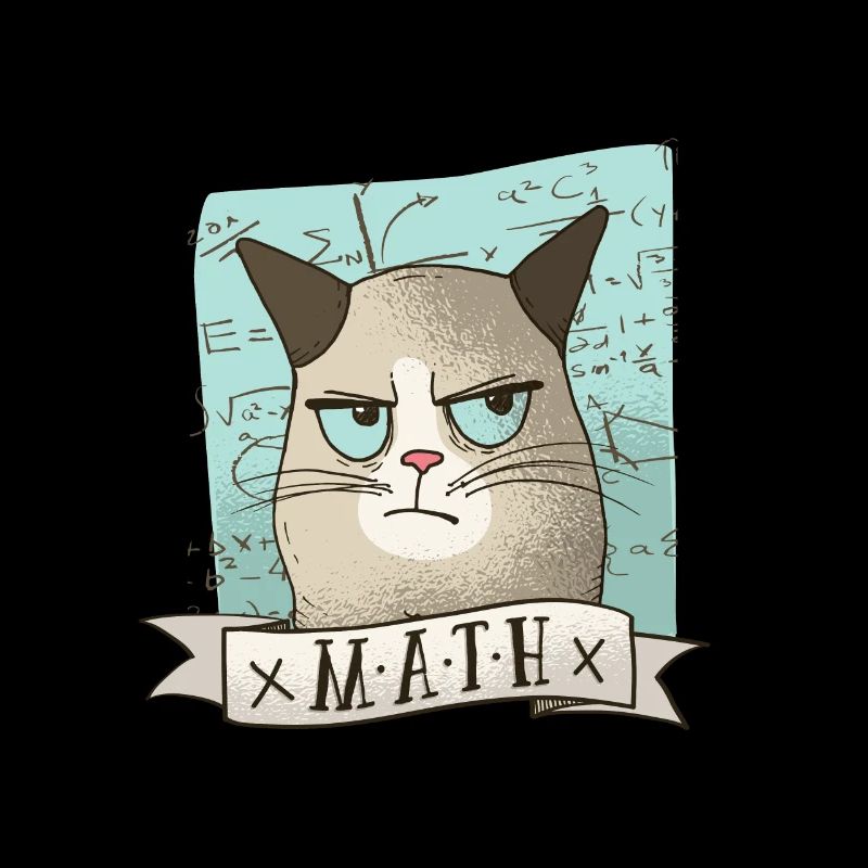 Math tutoring cat teacher tshirt gift