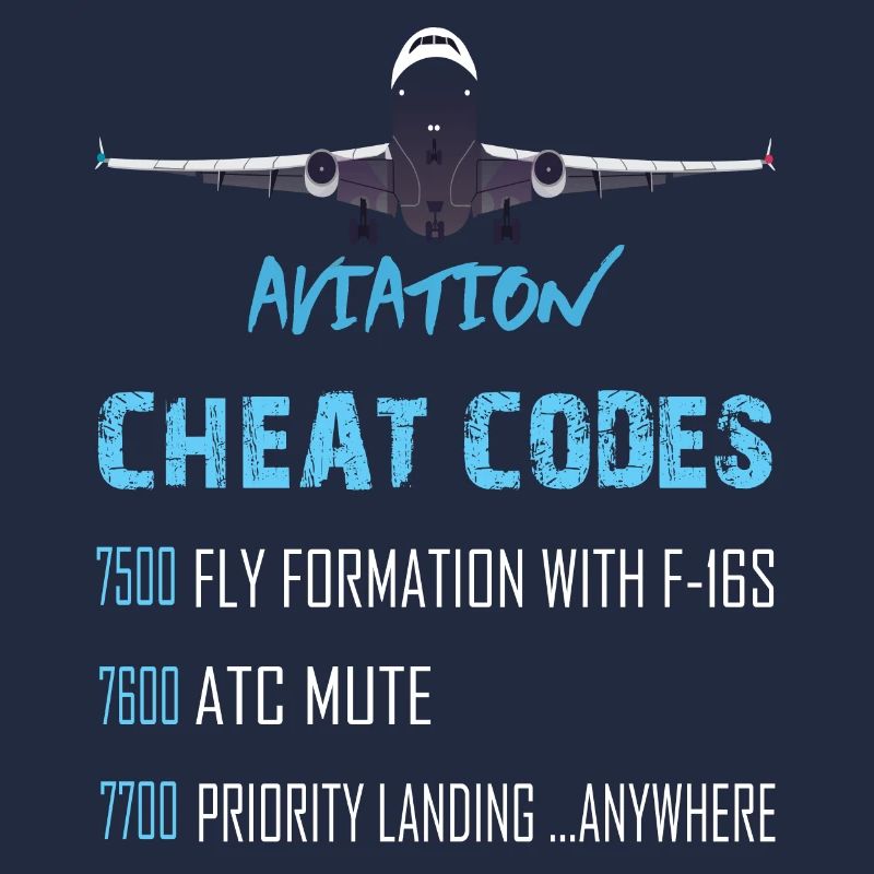 Aviation cheat codes
