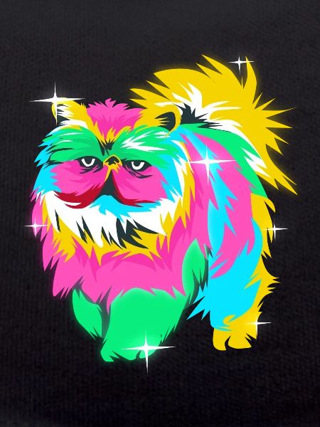 Persian cat