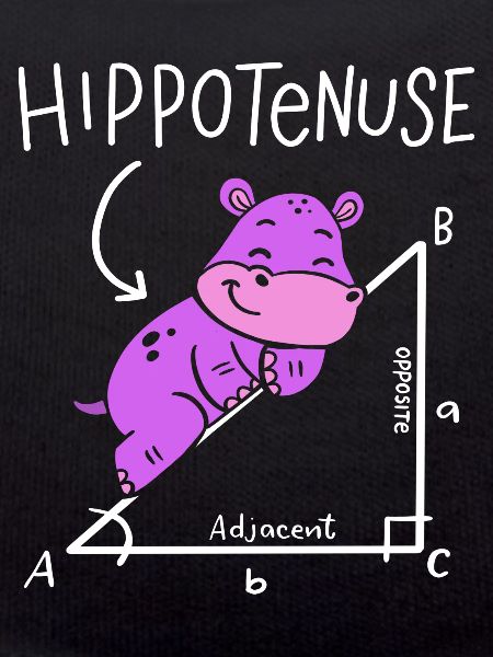 Hippotenuse Hypotenuse Triangle Geometry Math