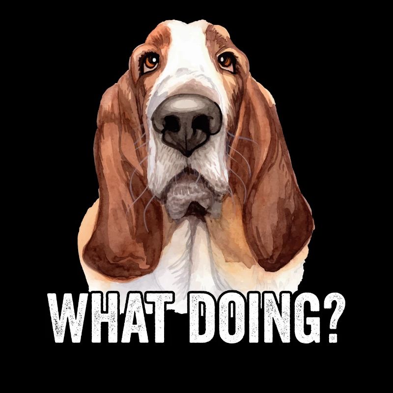 Basset Hound Que faire