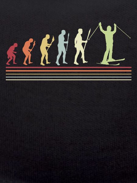 Skiing Evolution Skis Winter