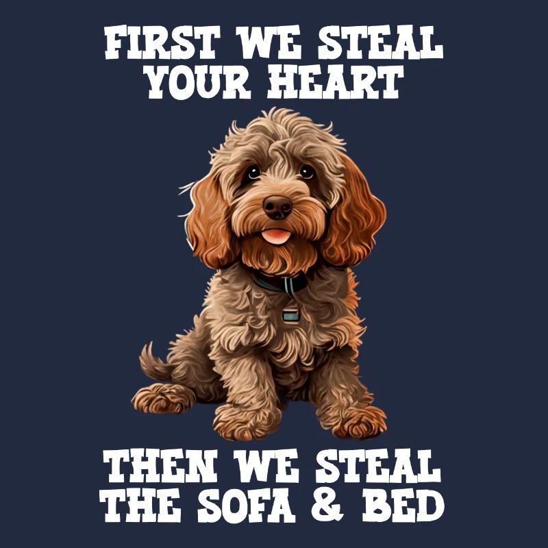 Cockapoo d’abord nous volons votre cœur