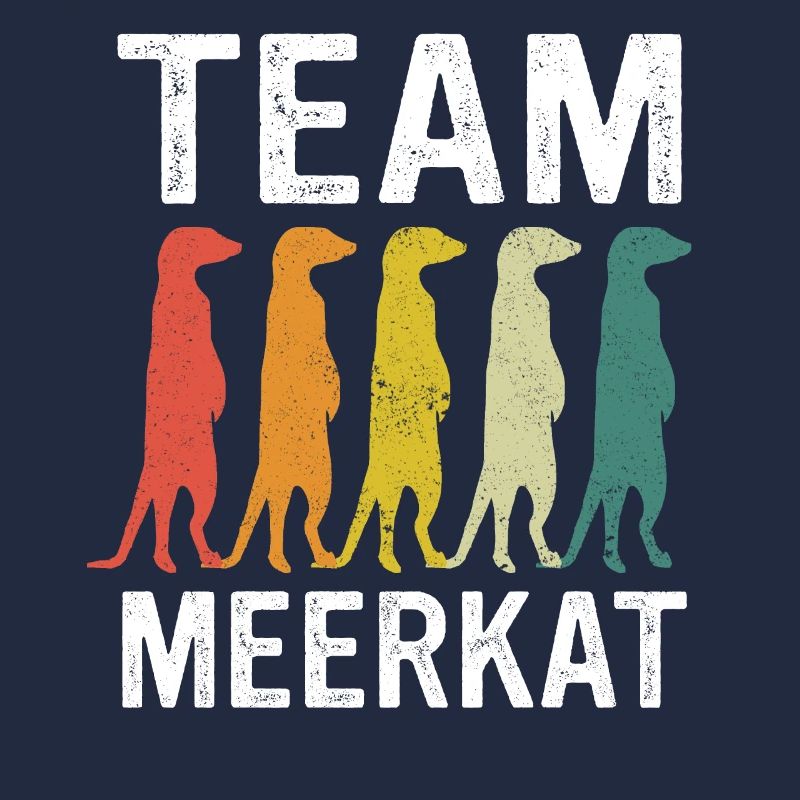 Erdmännchen Tier Erdmann