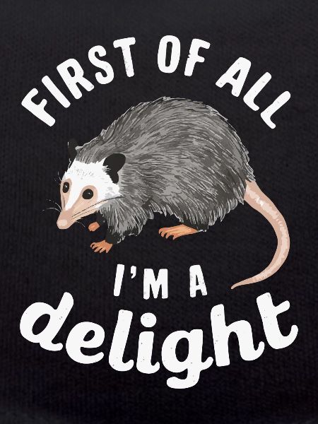 Opossum Possum Tier
