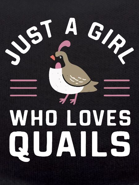 Quail Bird Quails