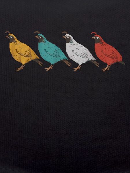 Quail Bird Quails