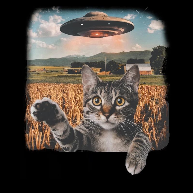Lustige Ängstliche Katze Selfie UFO Alien