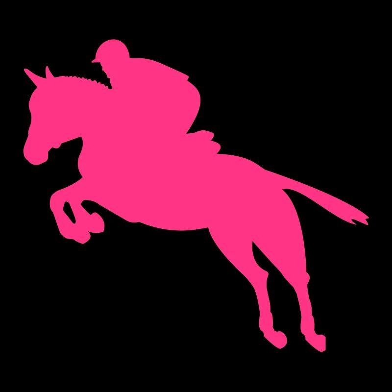 Pferd Springreiten Reiter