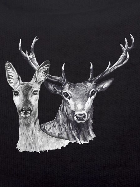 Roe deer and deer