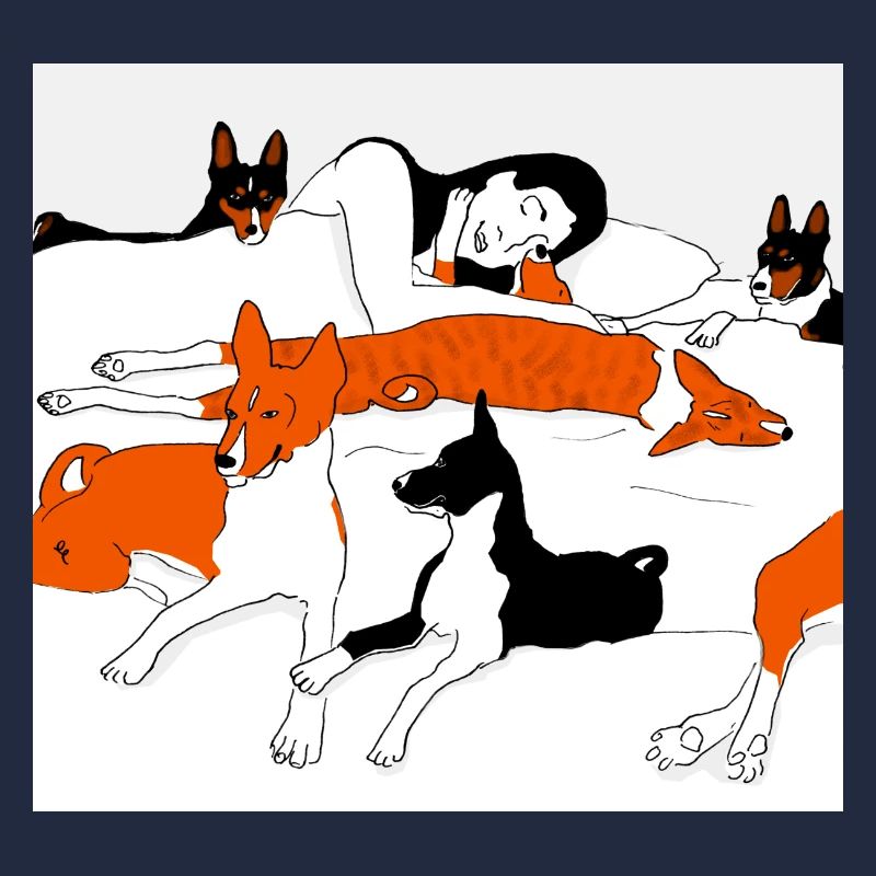 Chiens Basenji couchés